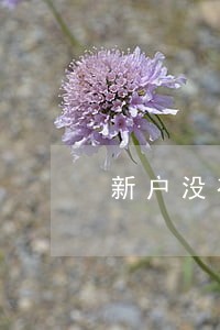 新户没有业务往来逾期没报税 新户没有业务往来逾期没报税