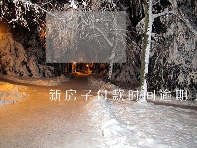 新房子付款时间逾期了 新房子付款时间逾期了
