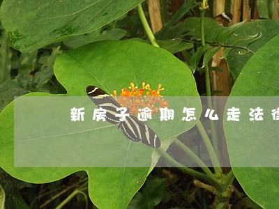 新房子逾期怎么走法律程序 新房子逾期怎么走法律程序