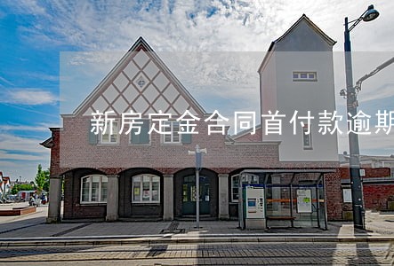 新房定金合同首付款逾期没收定金