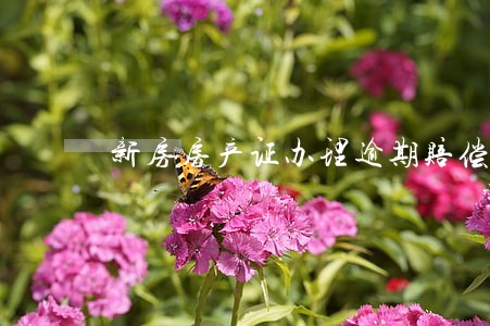 新房房产证办理逾期赔偿 新房房产证办理逾期赔偿