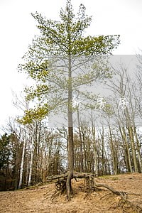 新房房贷逾期多久会被收房 新房房贷逾期多久会被收房