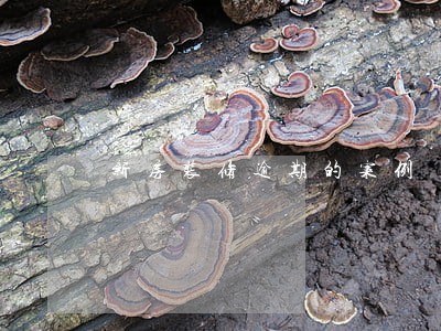 新房装修逾期的案例 新房装修逾期的案例