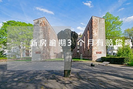 新房逾期3个月有赔偿吗 新房逾期3个月有赔偿吗