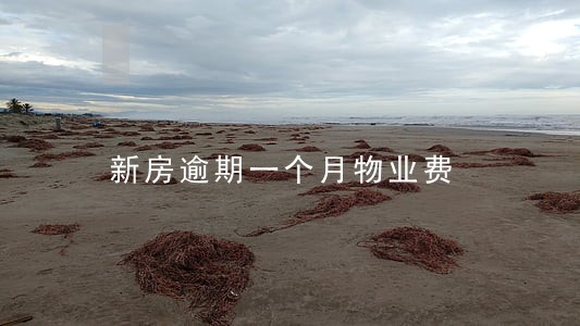 新房逾期一个月物业费 新房逾期一个月物业费