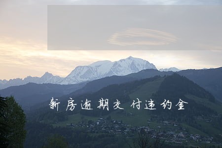 新房逾期交付违约金 新房逾期交付违约金