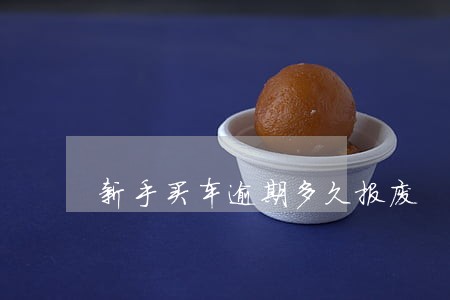 新手买车逾期多久报废 新手买车逾期多久报废