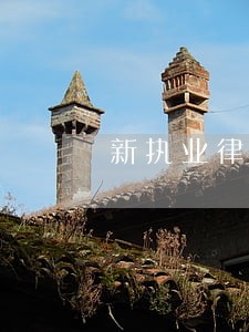 新执业律师怎么找法律顾问