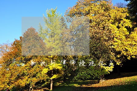 新执行律师授袍仪式 新执行律师授袍仪式