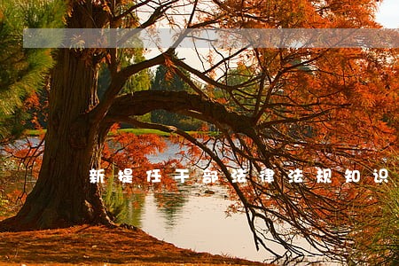 新提任干部法律法规知识培训 新提任干部法律法规知识培训