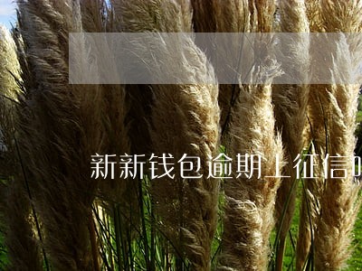 新新钱包逾期上征信吗 新新钱包逾期上征信吗