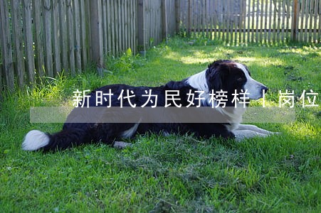 新时代为民好榜样丨岗位在变 新时代为民好榜样丨岗位在变