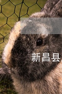 新昌县房产司法拍卖 新昌县房产司法拍卖