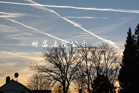 新昌法院公示 新昌法院公示