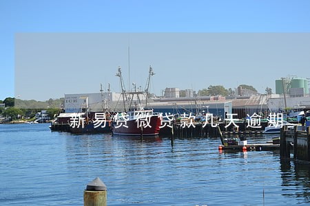 新易贷微贷款几天逾期 新易贷微贷款几天逾期