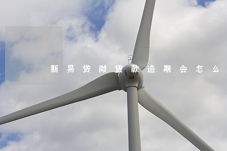 新易贷微贷款逾期会怎么样 新易贷微贷款逾期会怎么样