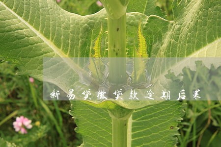 新易贷微贷款逾期后果