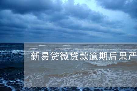 新易贷微贷款逾期后果严重 新易贷微贷款逾期后果严重
