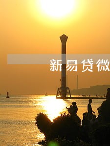 新易贷微贷款逾期多久 新易贷微贷款逾期多久