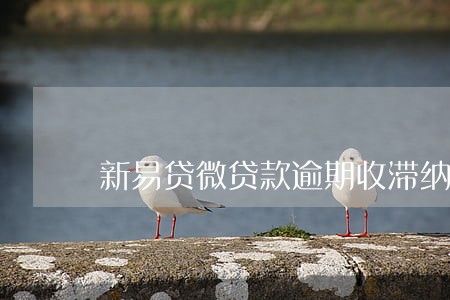 新易贷微贷款逾期收滞纳金 新易贷微贷款逾期收滞纳金