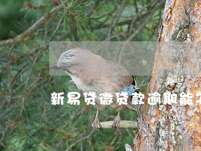 新易贷微贷款逾期能减免吗 新易贷微贷款逾期能减免吗