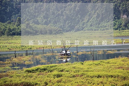 新易贷微贷款逾期被告了 新易贷微贷款逾期被告了