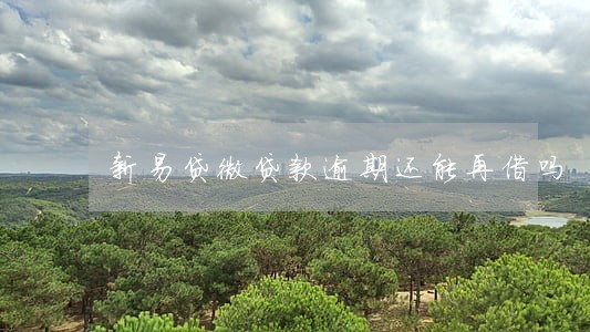 新易贷微贷款逾期还能再借吗 新易贷微贷款逾期还能再借吗
