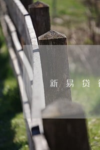 新易贷微贷逾期几天 新易贷微贷逾期几天
