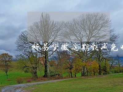 新易贷微逾期能减免吗 新易贷微逾期能减免吗