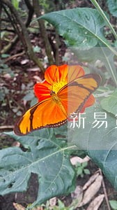 新易贷逾期三年 新易贷逾期三年