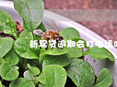 新易贷逾期会打电话吗 新易贷逾期会打电话吗