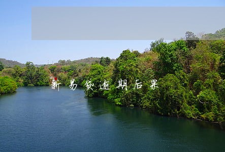 新易贷逾期后果 新易贷逾期后果