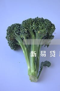 新易贷逾期呆账协商减免 新易贷逾期呆账协商减免