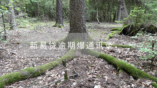 新易贷逾期爆通讯录 新易贷逾期爆通讯录