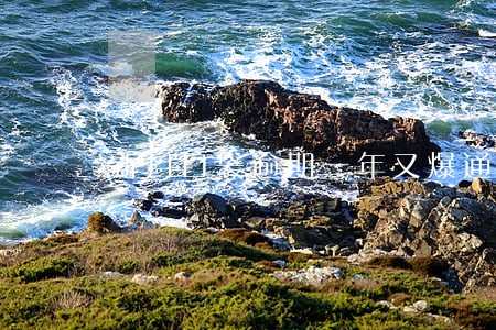 新月口袋逾期一年又爆通讯录 新月口袋逾期一年又爆通讯录