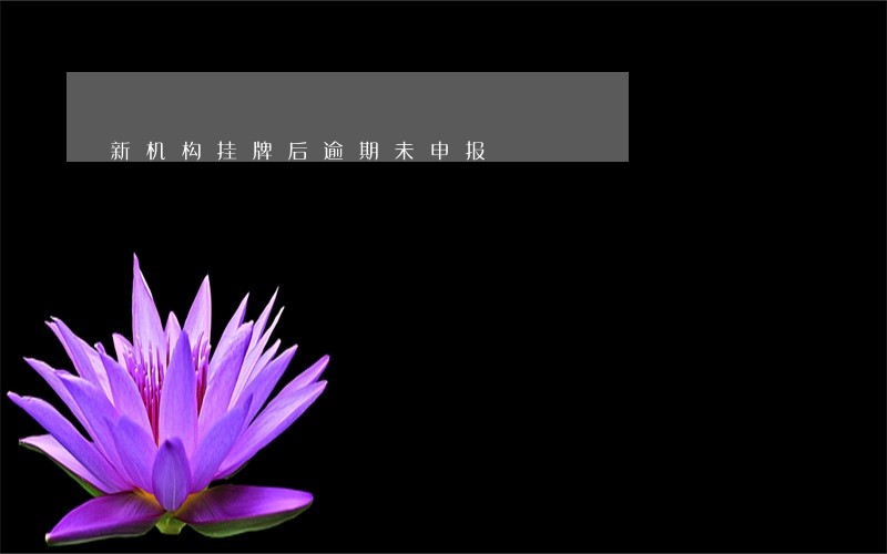 新机构挂牌后逾期未申报 新机构挂牌后逾期未申报