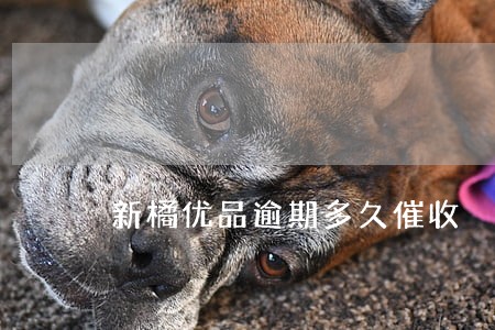 新橘优品逾期多久催收 新橘优品逾期多久催收