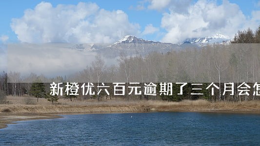 新橙优六百元逾期了三个月会怎样