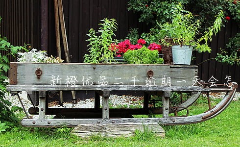 新橙优品二千逾期一天会怎么样