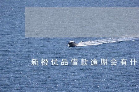 新橙优品借款逾期会有什么后果 新橙优品借款逾期会有什么后果