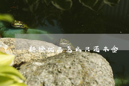新橙优品怎么只还本金 新橙优品怎么只还本金