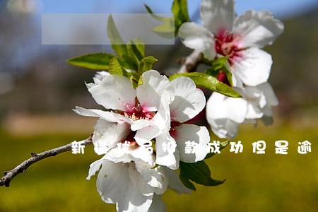 新橙优品扣款成功但是逾期 新橙优品扣款成功但是逾期