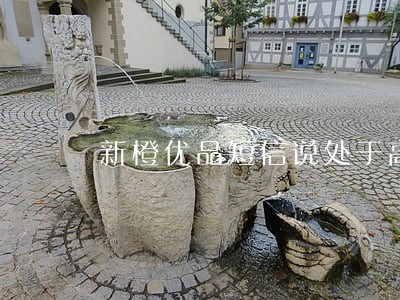 新橙优品短信说处于高度逾期