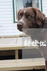 新橙优品第一期账单逾期 新橙优品第一期账单逾期