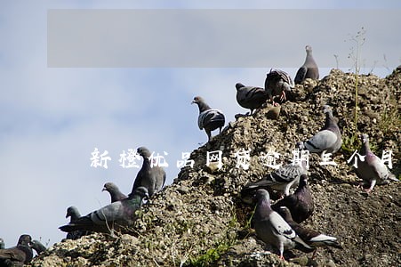 新橙优品网贷逾期三个月 新橙优品网贷逾期三个月