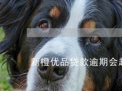 新橙优品贷款逾期会起诉吗