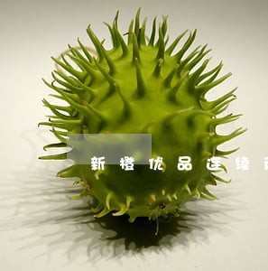 新橙优品连续两次逾期