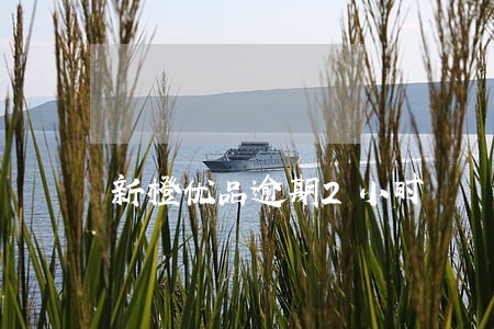 新橙优品逾期2小时 新橙优品逾期2小时