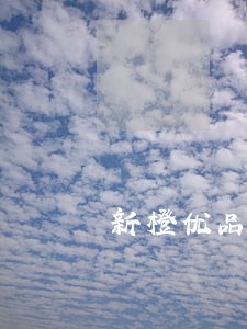 新橙优品逾期8天会怎么样 新橙优品逾期8天会怎么样