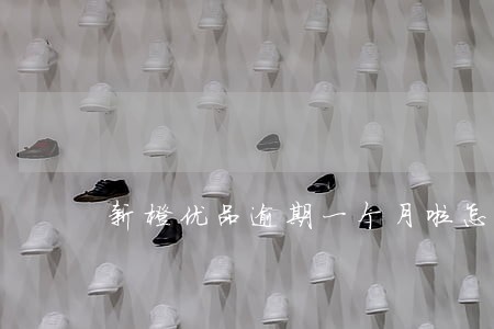新橙优品逾期一个月啦怎么协商 新橙优品逾期一个月啦怎么协商